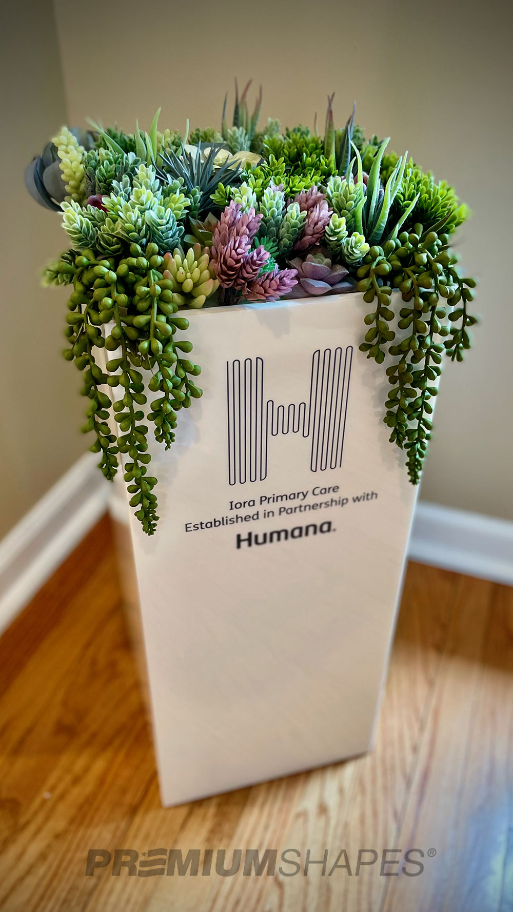 Hummer office planter with succulents