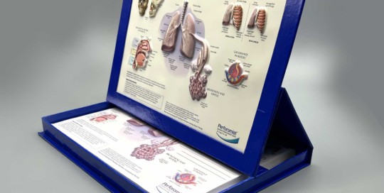 Medical Brochure Display